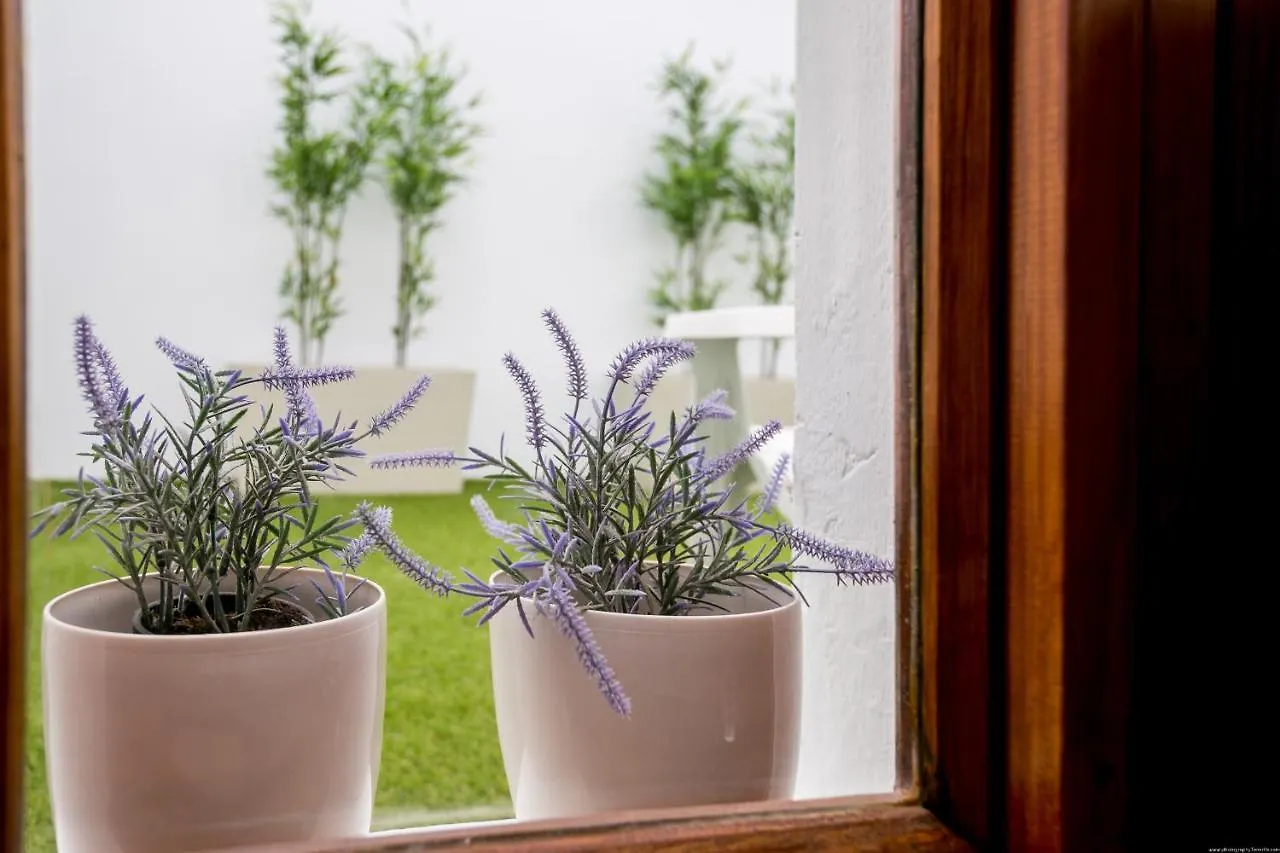 Cactus Apartment San Miguel de Abona